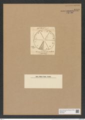Actinoptychus spinosus Ralfs. (de-Toni-Nr.: Genus 227, Species 5629/112) Zeichnungen Sammlung Grunow Nr. 9519 (NHMW-BOT-W0379507)